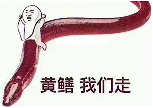 ¼Ů˭ ߱
