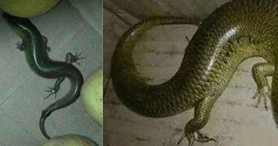 һץһֻҪɱ ץһֻݾƵ