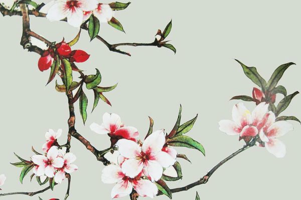һǰƬ ݳû֮ǰ15Ƭ