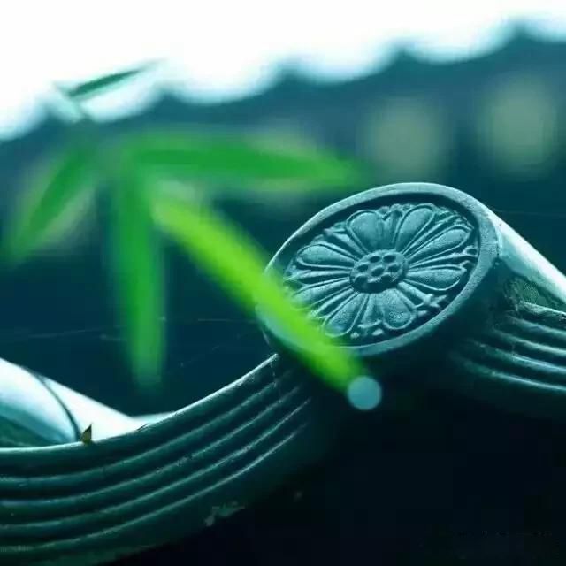 ÿƤǧƪһ,Ȥһʲô˼ һںĻ