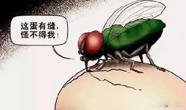 Ӭ޷ĵ仰ô ǵ⻹ǲӬ