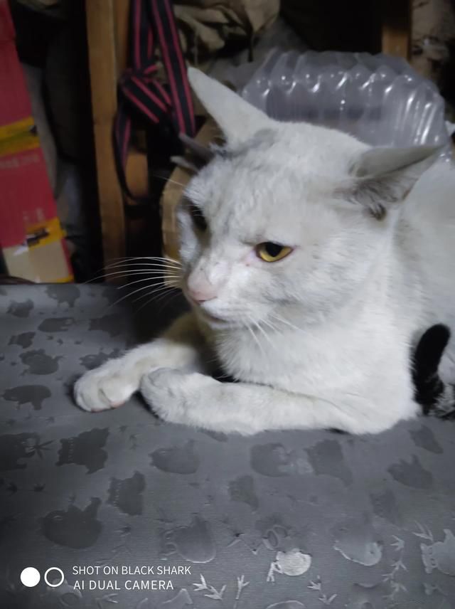 ѡô׬Ǯ Щй