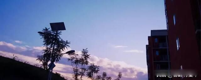 ô סįĺס