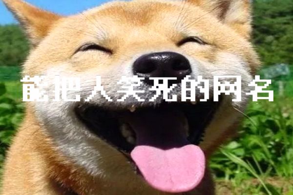 һ޶΢ǳ û