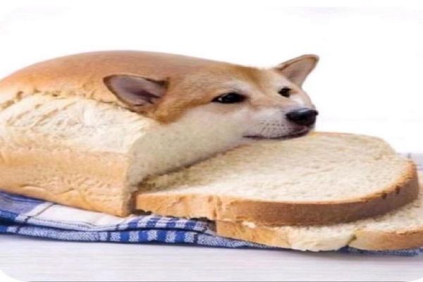 ʲô˼ ͼƬ