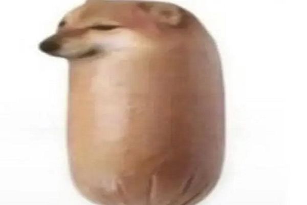ʲô˼ ͼƬ