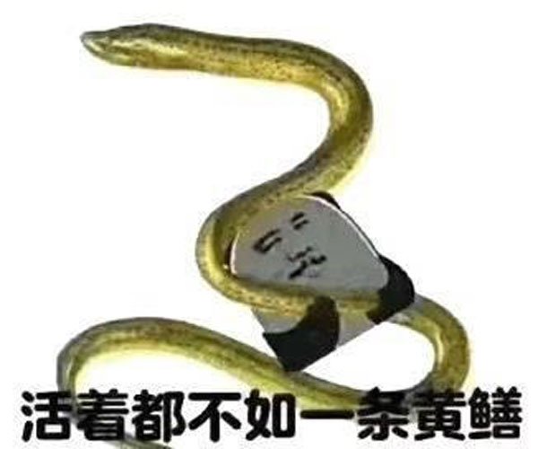 Ƶô Ů̫û