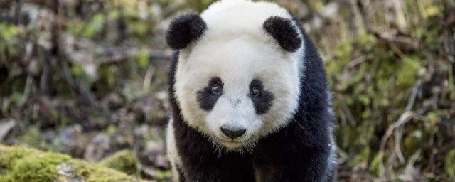 èʽ ˯ʽòд