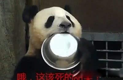 èϹȵ ʳޣè̵Ĺ