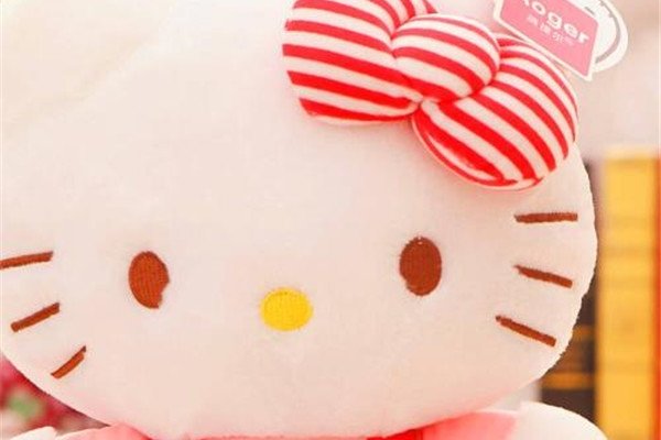 hellokittyʬϸ ֣èΪʲôû͵Ŀֲ