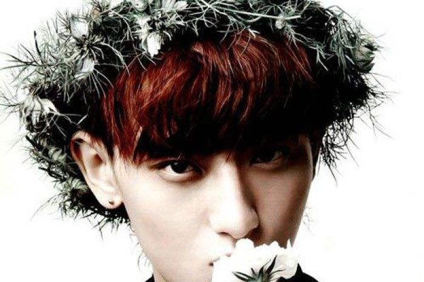 Ϊʲô˳exo ڲż躱exo˭ż