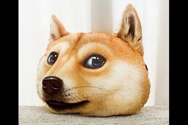 ͷı麬 ΢ͷʲô˼