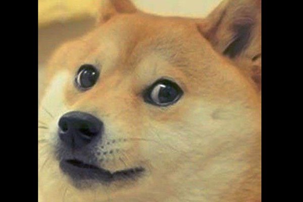 ͷı麬 ΢ͷʲô˼