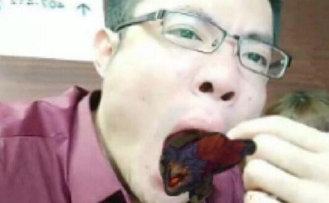 ߺʲô˼ Դ뺬