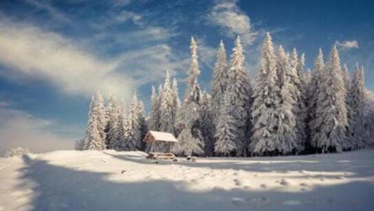 ѩİȦ ѩİ̾ɾ