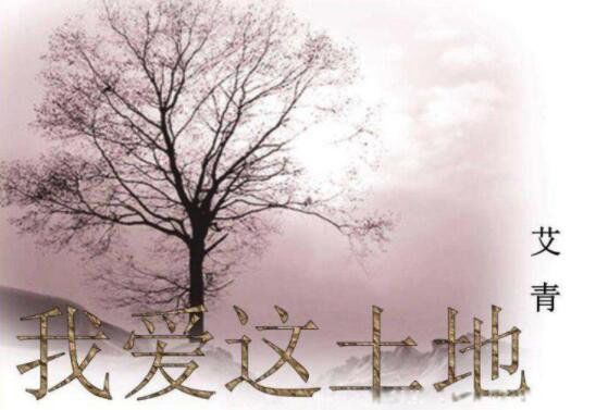 ĳƷʲô ʫ˰ʮƷ