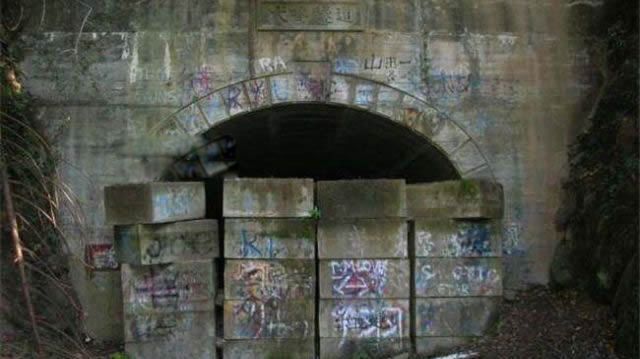 ձȮ¼ 2004ձ¼
