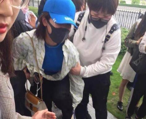 杨紫理智追星是怎么回事 疯狂追星的人到底有多可怕