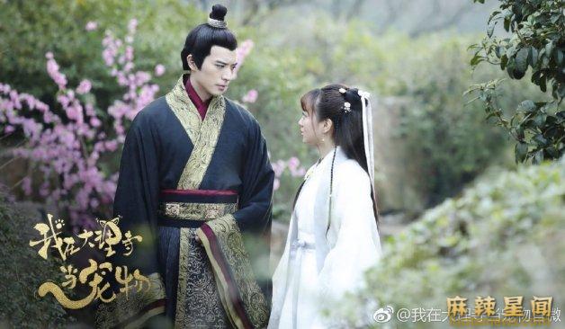 徐开骋主演的电视剧有哪些 待播剧斛珠夫人徐开骋扮演皇帝