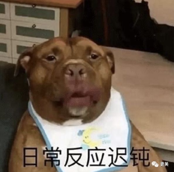 插足婚姻逼走原配 周丽淇宣布怀孕还被骂 41岁却像喝了冻龄水