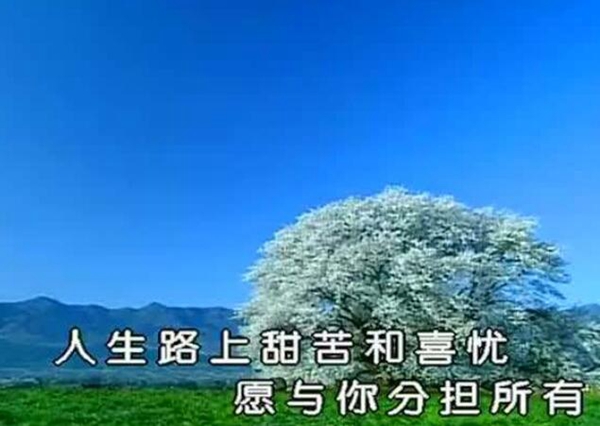 抖音2020励志歌曲排行榜前十名 哪一首能打动你