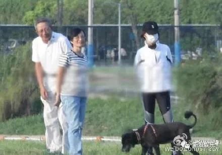 林依晨嫁入豪门开始备孕 她的生活过得很卑微吗