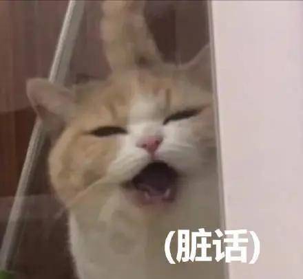 ��ӯӨ����Ӧ��ܿ����ϴ��� ԭ����Ŭ����Ҳ����������