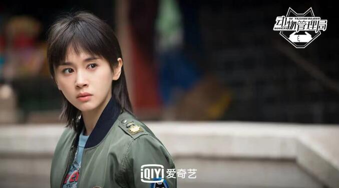 王子文电视剧有哪些 盘点她所出演的精彩电视剧