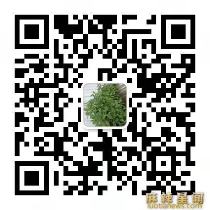 写影评怎么变现最快?一投就中3个小技巧,快速解琐变现技能