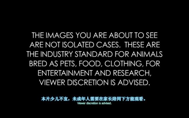 豆瓣高分纪录片地球公民 乌克兰绑匪硬核强推市民观看