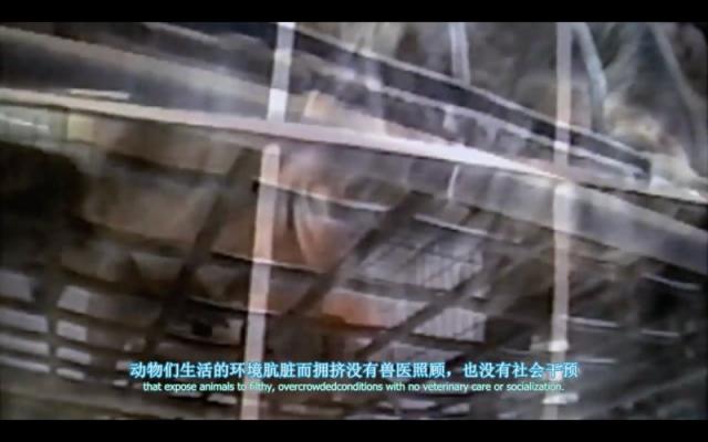 豆瓣高分纪录片地球公民 乌克兰绑匪硬核强推市民观看