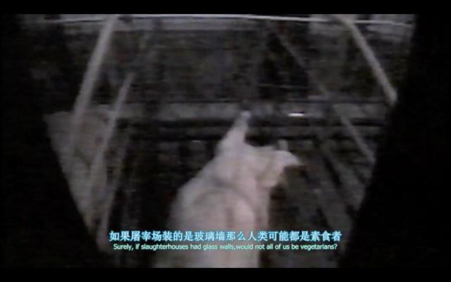 豆瓣高分纪录片地球公民 乌克兰绑匪硬核强推市民观看