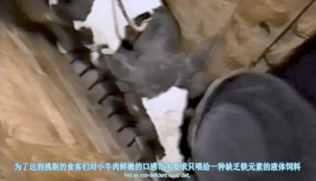 豆瓣高分纪录片地球公民 乌克兰绑匪硬核强推市民观看