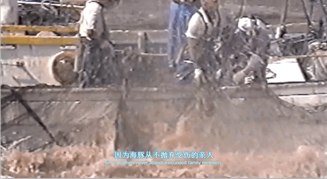 豆瓣高分纪录片地球公民 乌克兰绑匪硬核强推市民观看