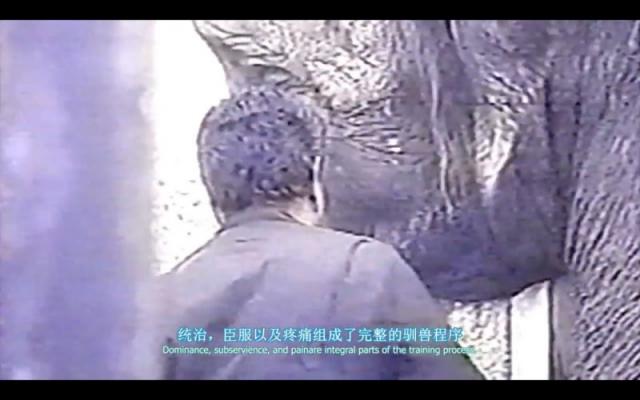 豆瓣高分纪录片地球公民 乌克兰绑匪硬核强推市民观看