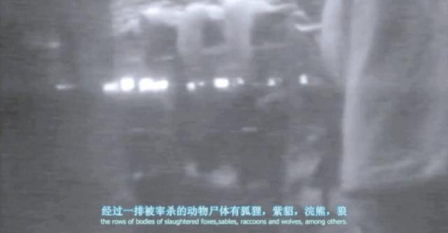 豆瓣高分纪录片地球公民 乌克兰绑匪硬核强推市民观看
