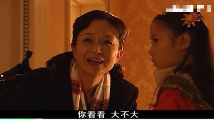 刘莉莉主演的电视剧全部 深情演绎不同的母亲形象