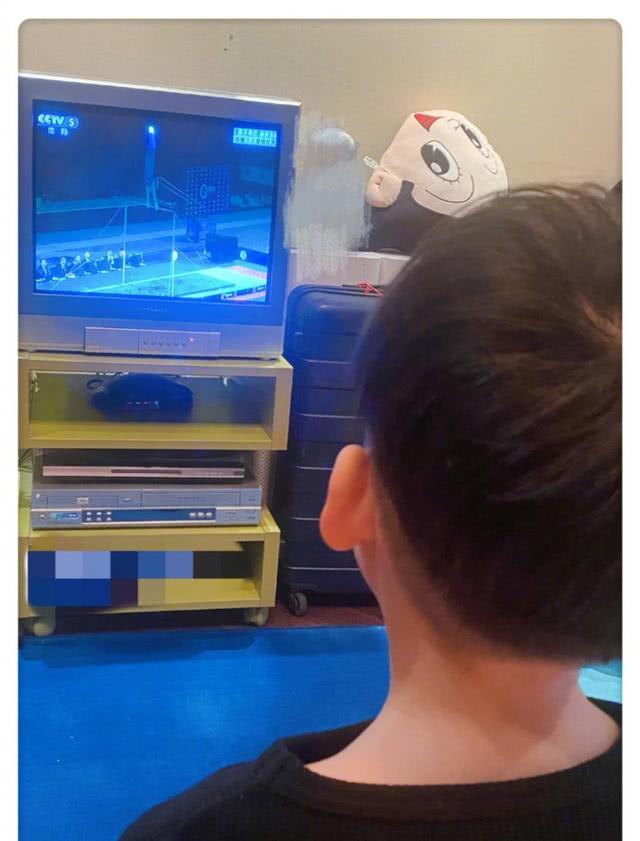 奥运冠军刘璇晒儿子近照 老公王弢是做什么的