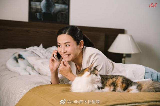 陀枪师姐2021开播3大看点 笑梗爆点统统都有