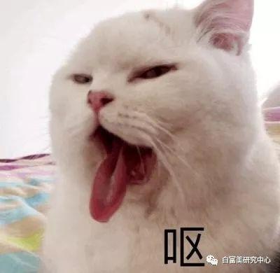 白富美全年包养老公,闺蜜竟然孕期出轨她老公,这是2019年最垃圾小三
