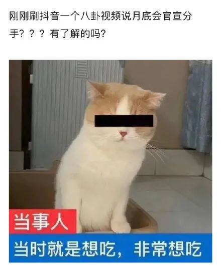 关晓彤鹿晗分手是真的吗 关晓彤与王一博是什么关系