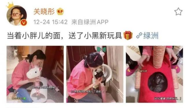 关晓彤鹿晗分手是真的吗 关晓彤与王一博是什么关系