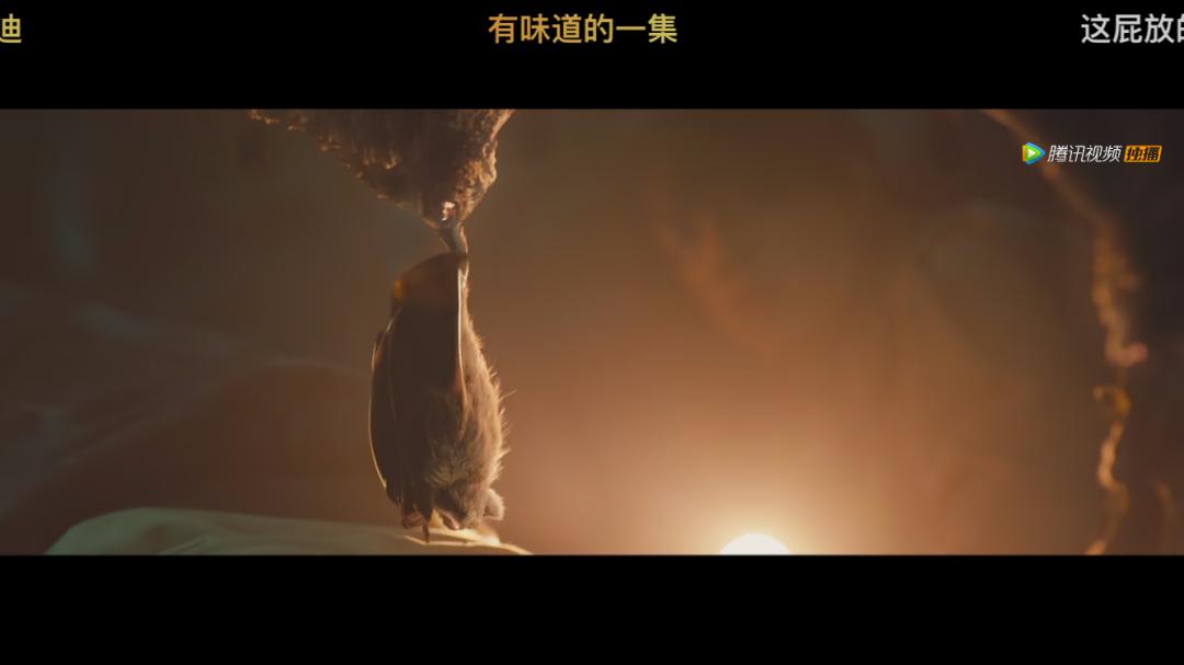 电视剧龙岭迷窟评价怎么样 开篇就看得欲罢不能