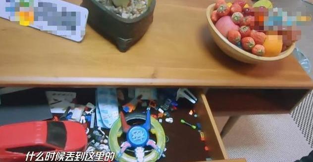 汪涵私宅内景装修朴素挂满字画 汪涵老婆杨乐乐个人资料年龄