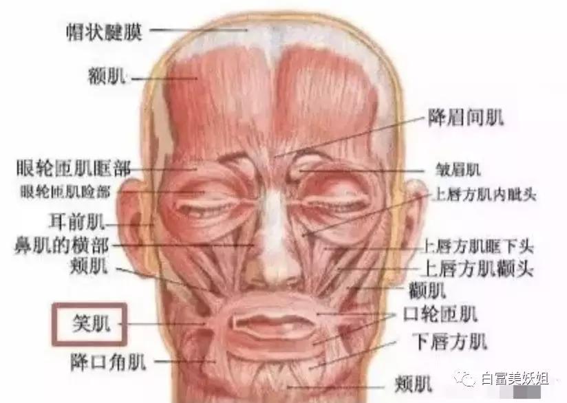 所有豪门阔太都是“郭式旺夫脸” 百年一遇面相到底啥样