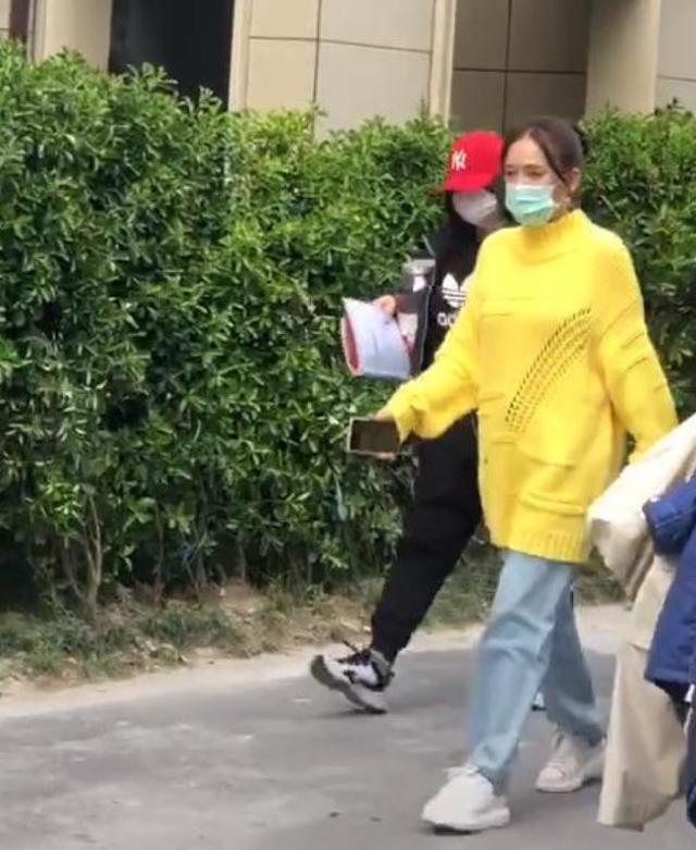 陈乔恩否认怀孕怎么说的 隔着屏幕感觉到了陈乔恩的无奈