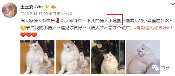 肖战的荧幕初吻23岁的王玉雯 抛弃导演男友说林更新黄晓明丑