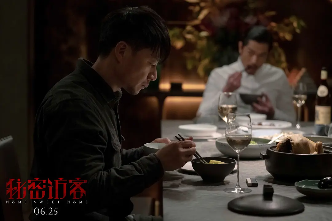 秘密访客电影影评 剧情毫无逻辑成烂片