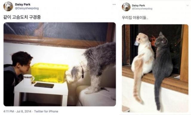 ��¥������Ա����˶������������粨 ��������