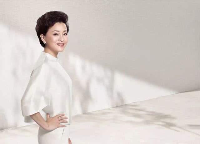 51岁杨澜近照脱发迹象严重露头皮 杨澜丈夫吴征简介